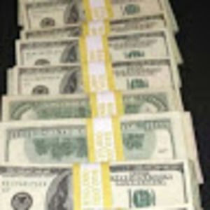 Meet your Posher, Freddy